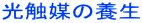 ���G�}�̗{��